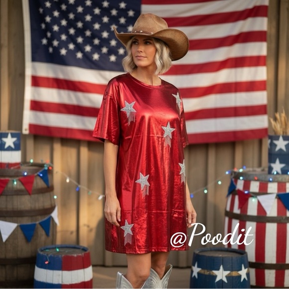 Fantastic Fawn Dresses & Skirts - FANTASTIC FAWN metallic red embellished dress S M L